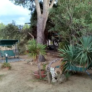 Il Vigneto Bed and breakfast